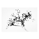 Pesquisar por bioquímica pôsteres pósteres Abstrato