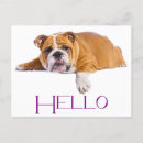 Pesquisar por inglês do amor cartoes postais Buldogue