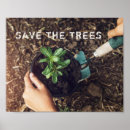 Pesquisar por meio dia pôsteres pósteres Verde
