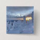 Pesquisar por cénico botons Neve