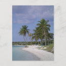 Pesquisar por cruises cartoes postais Vacation