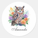 Pesquisar por coloridas da coruja adesivos Para todos