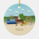 Pesquisar por agilidade ornamentos Canino