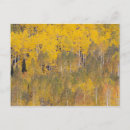 Pesquisar por árvores coloridas cartoes postais Cor