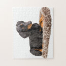 Pesquisar por filhote cachorro pinscher doberman Cão