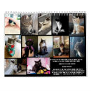 Pesquisar por mews Calendário