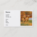 Pesquisar por golden business cartao de visita Veterinário