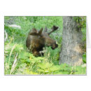 Pesquisar por alaska outros Alces