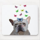 Pesquisar por bulldog eletronicos Borboletas