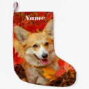Pesquisar por corgi meias de natal Amante de os animais