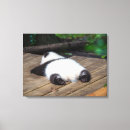 Pesquisar por urso panda impressão de canvas Animal