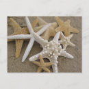 Pesquisar por estrelas cartoes postais Peixe
