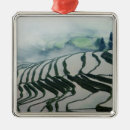 Pesquisar por agrícola ornamentos Cultivo