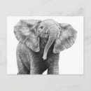 Pesquisar por elefante do bebê cartoes postais Fofo
