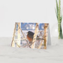 Pesquisar por ecologia vertical cartoes Aves