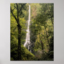 Pesquisar por ilha grande pôsteres pósteres Imagem a cores