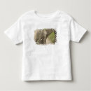 Pesquisar por elefante indiano camisetas Fauna