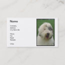 Pesquisar por sheepdog inglês velho Cão
