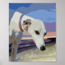 Pesquisar por do galgo pôsteres pósteres Chicote