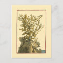 Pesquisar por coral cartoes postais Recife de coral