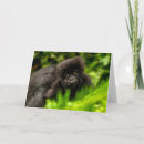 Pesquisar por ruanda cartoes Floresta tropical