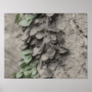 Pesquisar por green nature pôsteres pósteres Tree