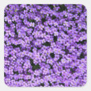 Pesquisar por flores violetas adesivos Para ela
