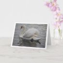 Pesquisar por lago da cisne cartoes Animal