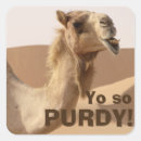 Pesquisar por camel adesivos Engraçado