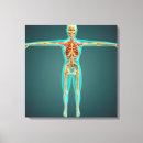 Pesquisar por esqueleto humano impressão de canvas Fêmur