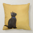 Pesquisar por gatinho preto Natureza