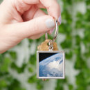 Pesquisar por terra nova chaveiros Vista aérea