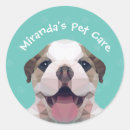 Pesquisar por pet care adesivos Para todos