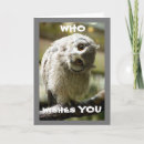 Pesquisar por funny easter cartoes Qualquer pessoa