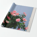 Pesquisar por parede papel de presente Rosa
