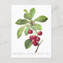 Pesquisar por texto francês cartoes postais Colheita