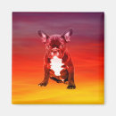 Pesquisar por francais imas Frenchie