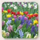 Pesquisar por tulipas bonitas porta copos Primavera