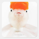 Pesquisar por peixe dourado adesivos Natação