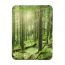 Pesquisar por ireland imas Floresta