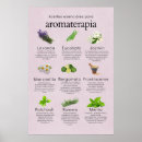 Pesquisar por aromaterapia pôsteres pósteres Para todos