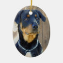 Pesquisar por rottweiler ornamentos Cães