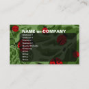 Pesquisar por inseto da senhora cartao de visita Fofo