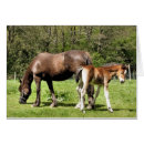 Pesquisar por potro potro égua cartoes Fofo