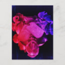 Pesquisar por amor militar cartoes Veteranos