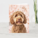 Pesquisar por goldendoodle cartoes Cães