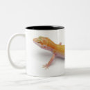 Pesquisar por herpes canecas Animal