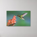 Pesquisar por iridescente impressão de canvas Verde