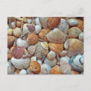 Pesquisar por fundo do mar cartoes postais Oceano