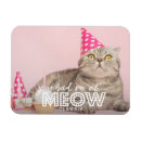 Pesquisar por foto engraçada do gato imas Para todos